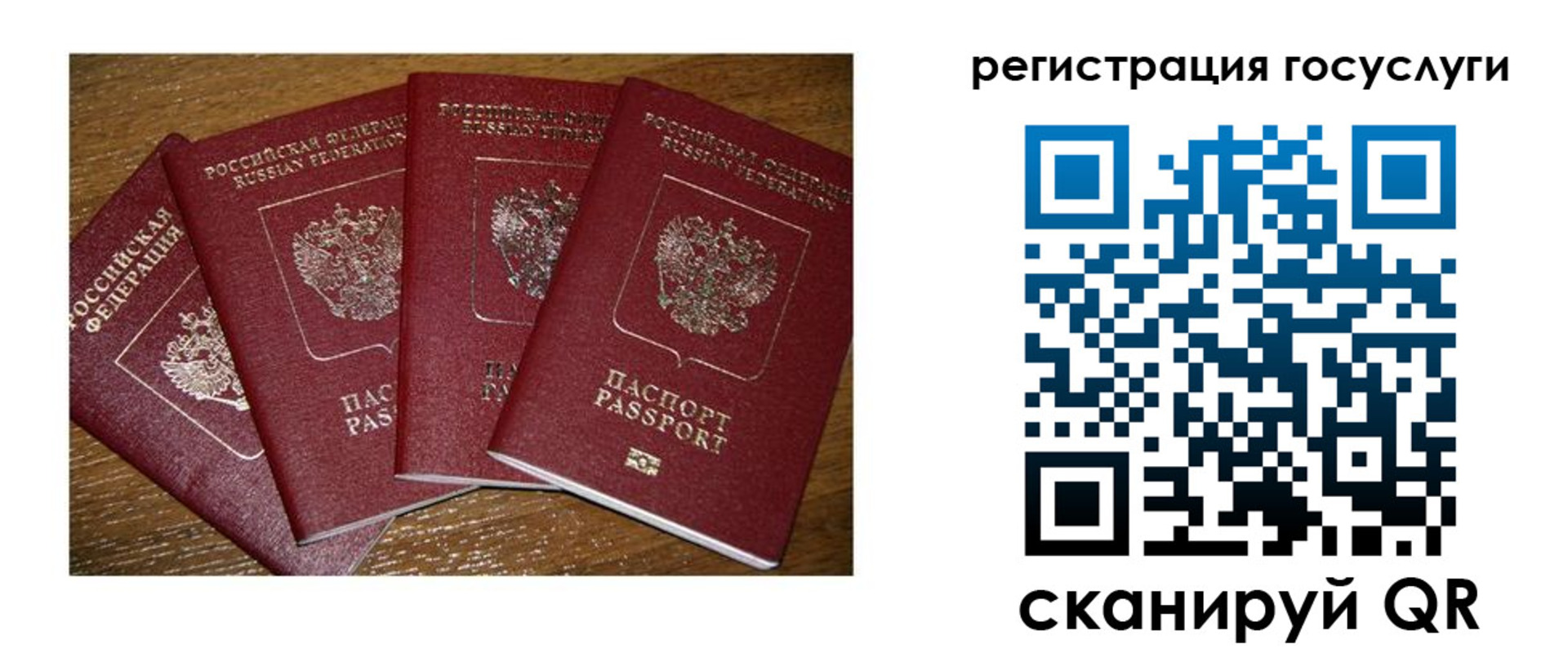 временная регистрация гарантия в Братске